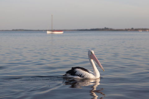 Oak Tree Lodge - Hotel Accommodation 17