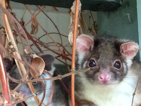 Oak Tree Lodge - Hotel Accommodation 22