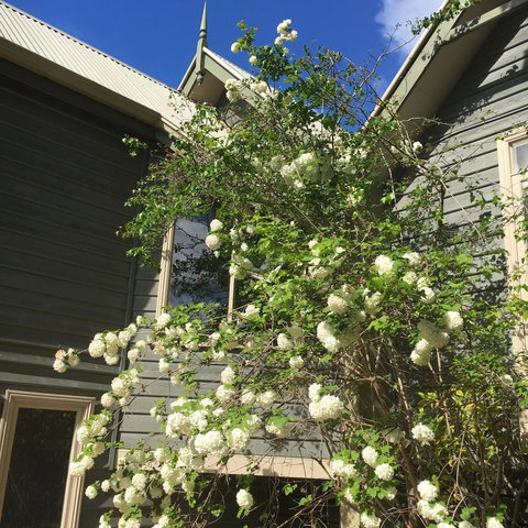 Oak Tree Lodge - Hotel Accommodation 16