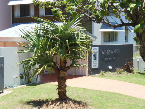 Whale Watch Ocean Beach Resort - Hotel Accommodation 15