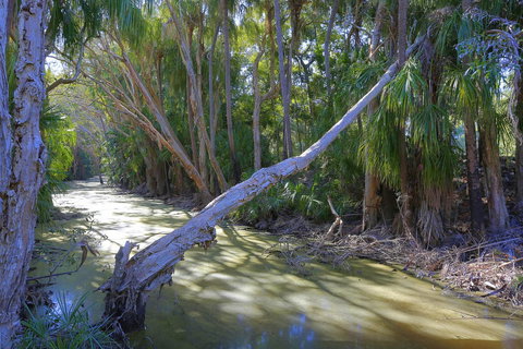 Sandcastles 1770 Motel & Resort - Hotel Accommodation 18