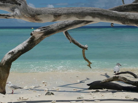 Beach Club Port Douglas Luxury Apartments - Hotel Accommodation 23