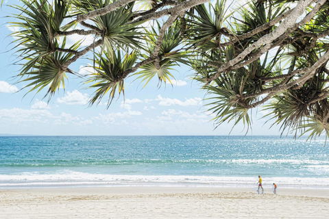 Netanya Noosa Beachfront Resort - Hotel Accommodation 38