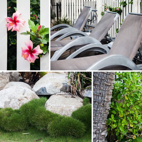 Coolum Caprice - Hotel Accommodation 22