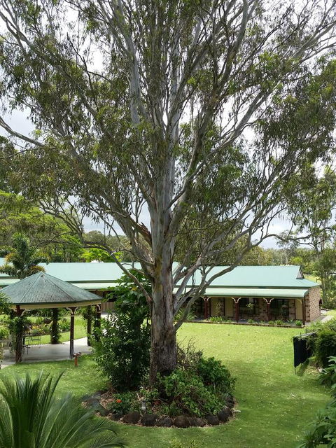 The Bearded Dragon Boutique Hotel - Hotel Accommodation 32