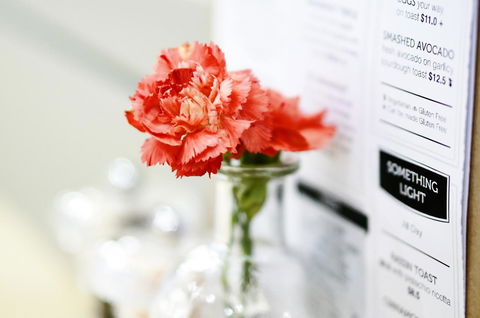 Madison Plaza Townsville - Hotel Accommodation 20