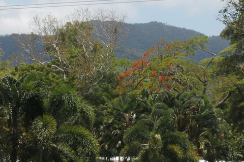 Sea Point On Trinity Beach - Hotel Accommodation 21