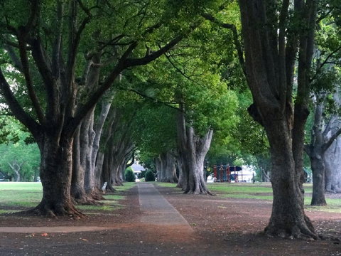 Comfort Inn Grammar View - Hotel Accommodation 19