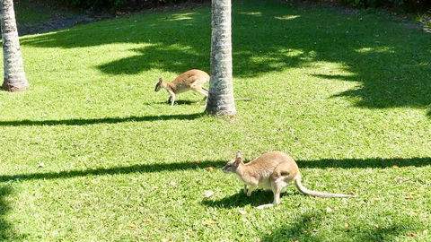 Argosy On The Beach - Hotel Accommodation 15