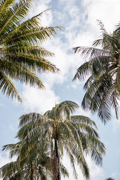 Novotel Cairns Oasis Resort - Hotel Accommodation 9