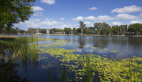 Jacana Apartments - Hotel Accommodation 15