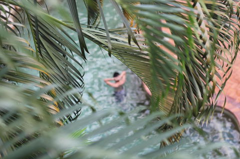 Coral Tree Inn - Hotel Accommodation 36