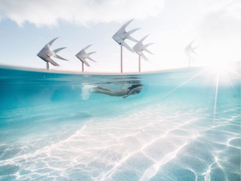 Coral Tree Inn - Hotel Accommodation 39