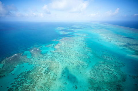 Coral Tree Inn - Hotel Accommodation 37