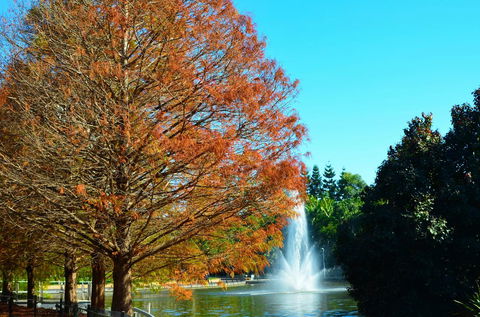 Soho Brisbane - Hotel Accommodation 7