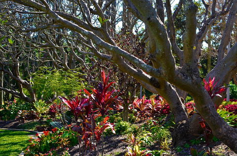 Soho Brisbane - Hotel Accommodation 1