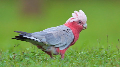 Soho Brisbane - Hotel Accommodation 6