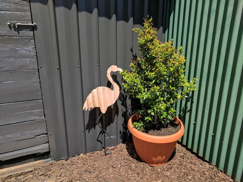 Lilly Pilly House - Hotel Accommodation 10