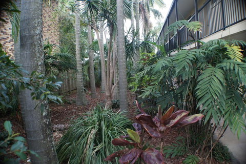 Best Western Airport 85 Motel - Hotel Accommodation 34