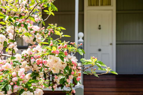 Apple Blossom Cottages - Hotel Accommodation 2
