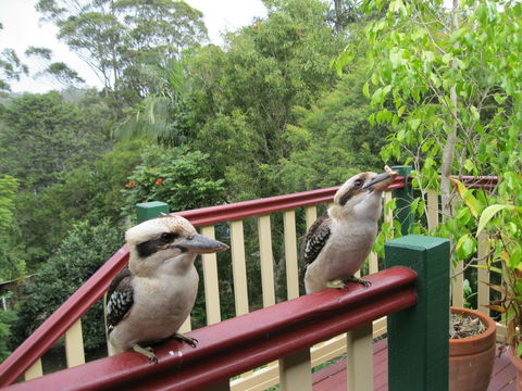 Shasta Place - Hotel Accommodation 12