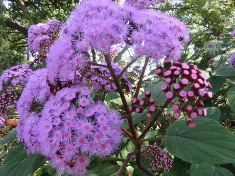 Shasta Place - Hotel Accommodation 8