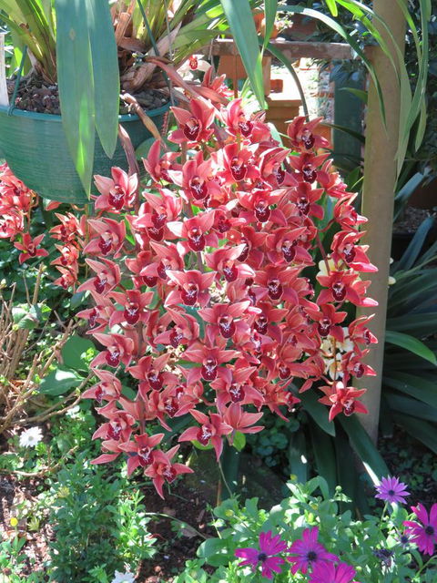 Shasta Place - Hotel Accommodation 9