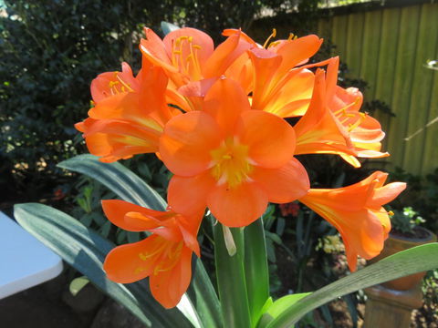 Shasta Place - Hotel Accommodation 10