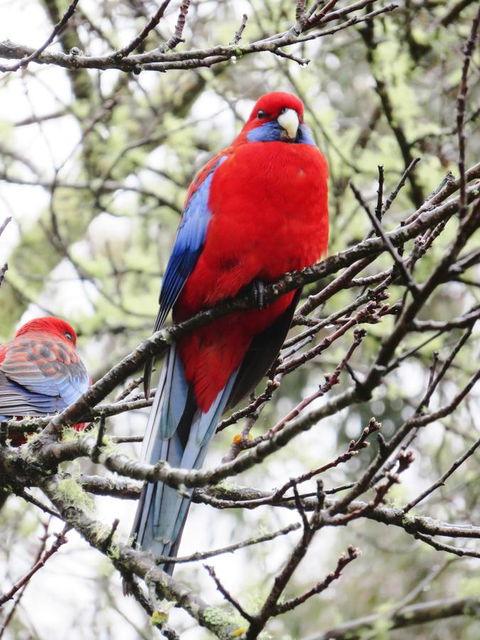 Shasta Place - Hotel Accommodation 13