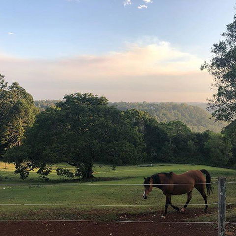 Montville Holiday Apartments - Hotel Accommodation 3