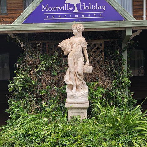 Montville Holiday Apartments - Hotel Accommodation 6