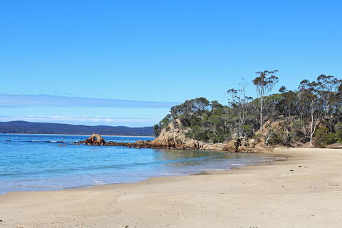Whale Cove Circuit - Hotel Accommodation 1