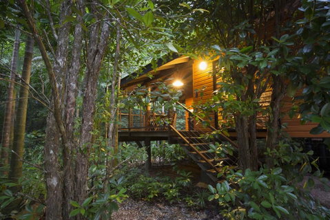 Wildwood - Hotel Accommodation 0