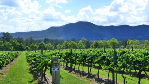 Winmark Wines - Hotel Accommodation 1