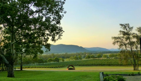 Winmark Wines - Hotel Accommodation 0