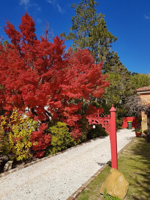 Winston Cottage At Three Sisters - Hotel Accommodation 1