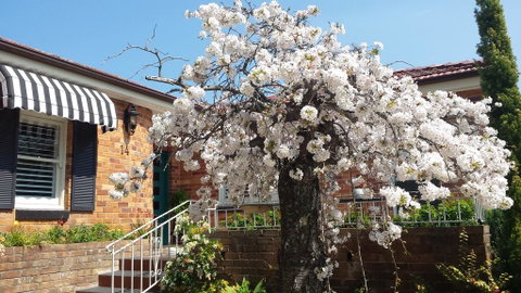 Winston Cottage At Three Sisters - Hotel Accommodation 3