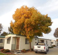 Wodonga Caravan  Cabin Park - Hotel Accommodation