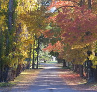 Wombeyan Caves - Hotel Accommodation