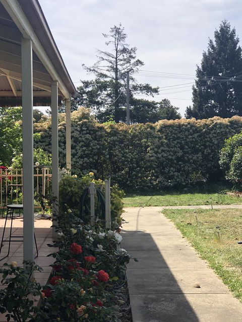 Zen Garde - Hotel Accommodation 0