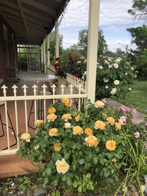 Zen Garde - Hotel Accommodation 1