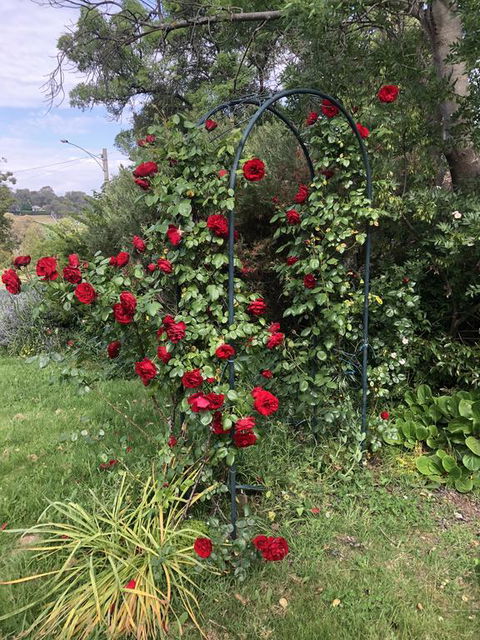 Zen Garde - Hotel Accommodation 2