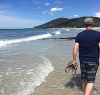 Rose Cottage sisters beach accommodation - Hotel Accommodation