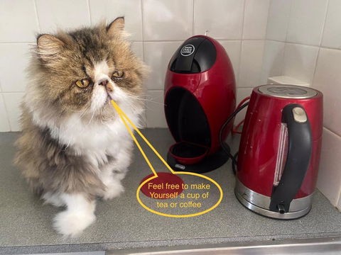 A Mini Slice Of Fremantle - Hotel Accommodation 2