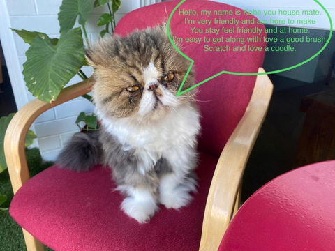 A Mini Slice Of Fremantle - Hotel Accommodation 1