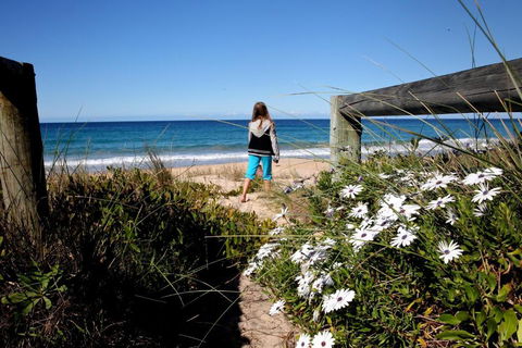 Absolute Beachfront Mollymook - Hotel Accommodation 4