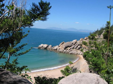 AFFORDABLE ISLAND ESCAPE! Queen Studio, Nelly Bay - Hotel Accommodation 3