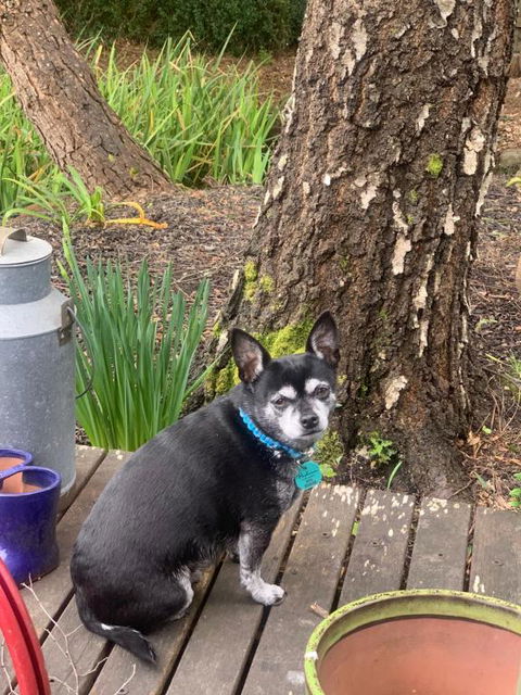 Akyra - Hotel Accommodation 3