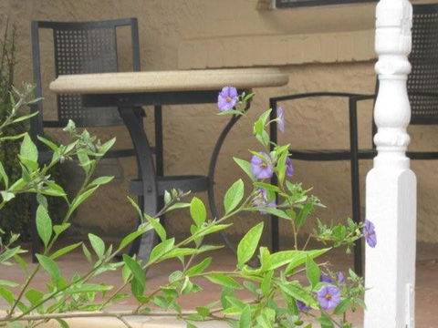 Amalie Cottage Waikerie Unit 1 - Hotel Accommodation 2