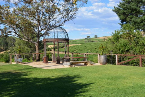 Angaston Vineyards Motel - Hotel Accommodation 3